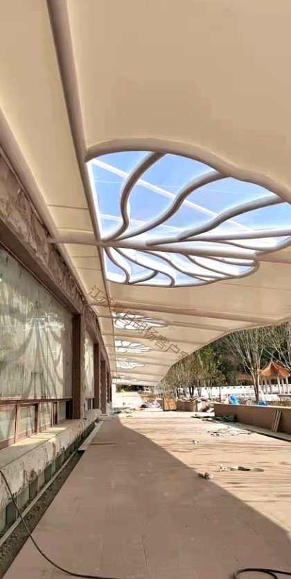 ETFE 莲花景观 - 江苏无锡大觉寺